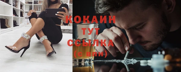 молекула духа Белоозёрский
