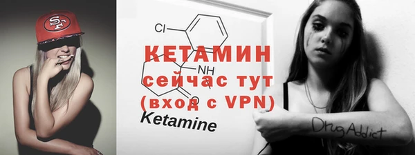 твердый Богданович