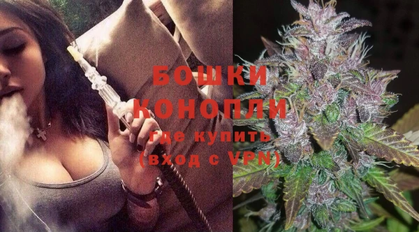 молекула духа Белоозёрский