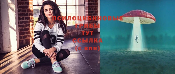 2c-b Богородицк